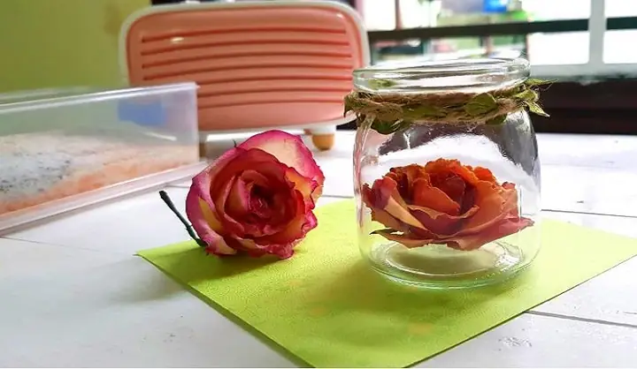 Cách Làm Hoa Khô Giữ Màu