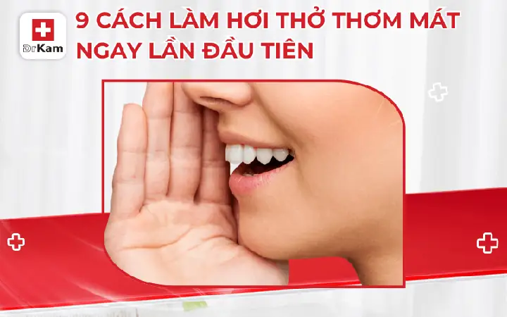 Cách Làm Hơi Thở Thơm Tho Cách Làm Hơi Thở Thơm Tho