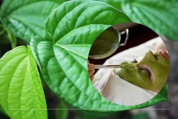 Cách Làm Mặt Nạ Lá Trầu