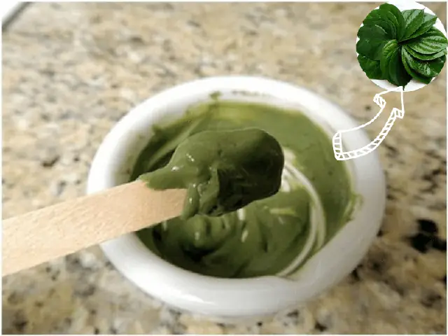 Cách Làm Mặt Nạ Lá Trầu