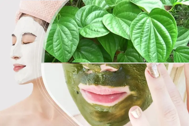 Cách Làm Mặt Nạ Lá Trầu