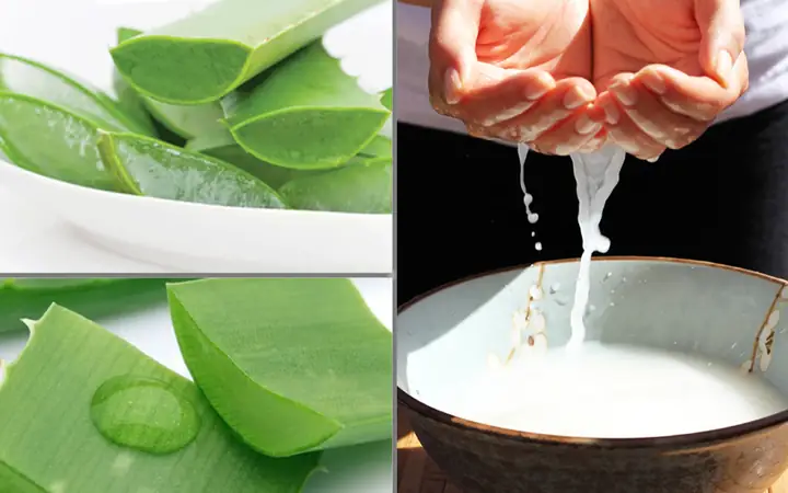 Cách Làm Mặt Nạ Nha Đam Nước Vo Gạo