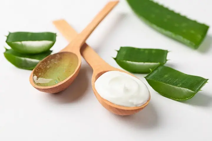 Cách Làm Mặt Nạ Nha Đam Sữa Chua Mật Ong