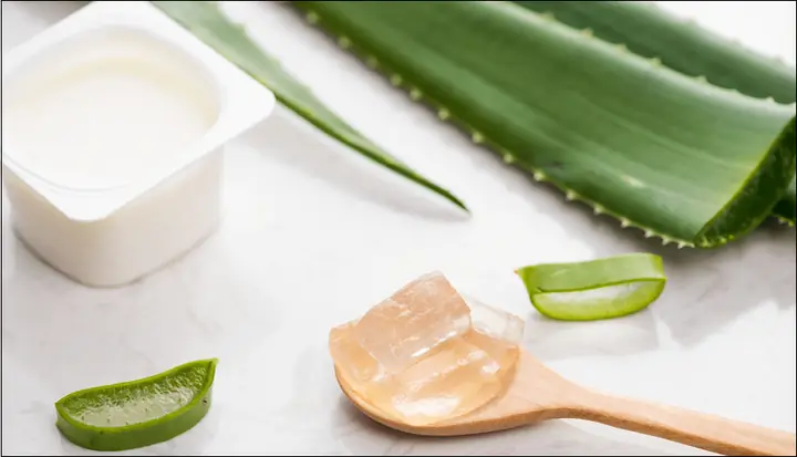 Cách Làm Mặt Nạ Nha Đam Sữa Chua Mật Ong