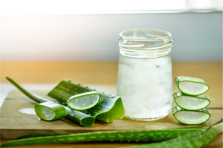Cách Làm Nước Ép Lô Hội Để Uống