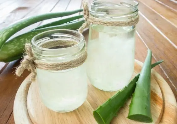 Cách Làm Nước Ép Lô Hội Để Uống