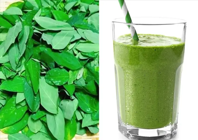 Cách Làm Nước Ép Rau Củ Cho Bé