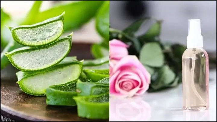 Cách Làm Nước Hoa Hồng Từ Nha Đam