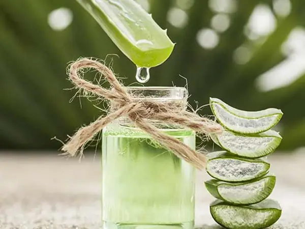 Cách Làm Nước Hoa Hồng Từ Nha Đam