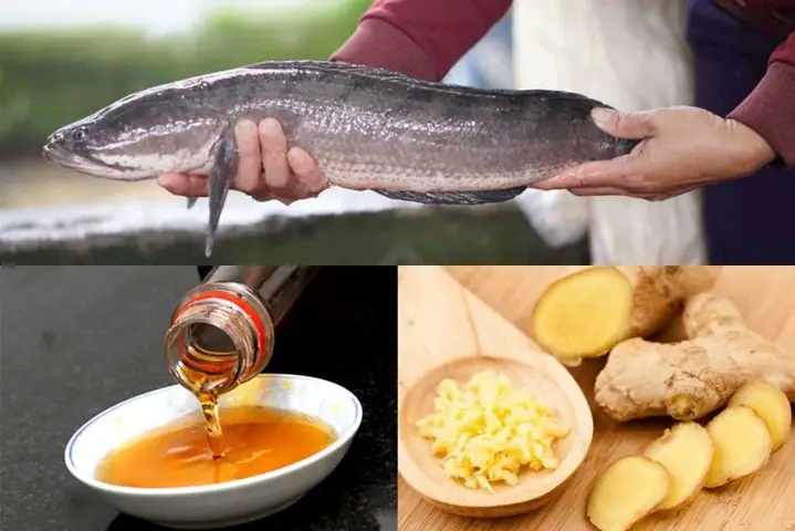 Cách Làm Ruốc Cá Quả Cho Bé Ăn Dặm