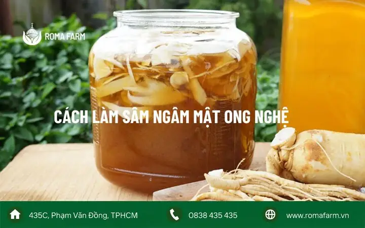 Cách Làm Sâm Ngâm Mật Ong Nghệ