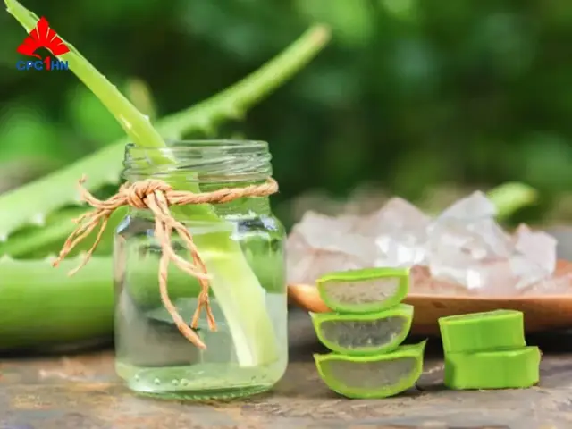 Cách Làm Se Khít Vùng Kín Bằng Lô Hội Cách Làm Se Khít Vùng Kín Bằng Lô Hội