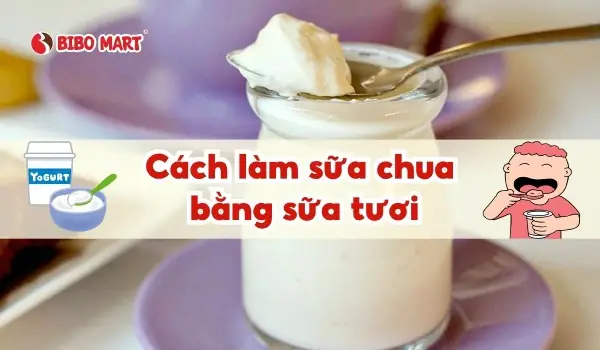 Cách Làm Sữa Chua Bằng Sưa Tươi