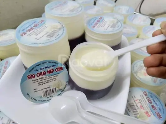 Cách Làm Sữa Chua Nếp Cẩm Mít
