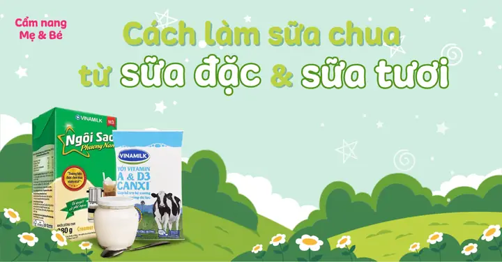 Cách Làm Sữa Chua Từ Sữa Tươi Tiệt Trùng