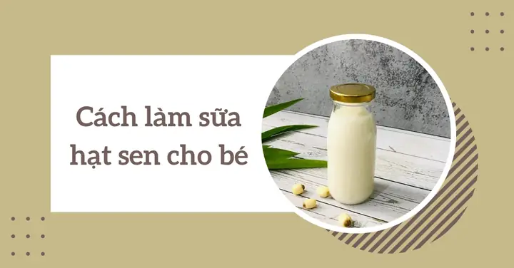 Cách Làm Sữa Hạt Sen Cho Bé Dưới 1 Tuổi