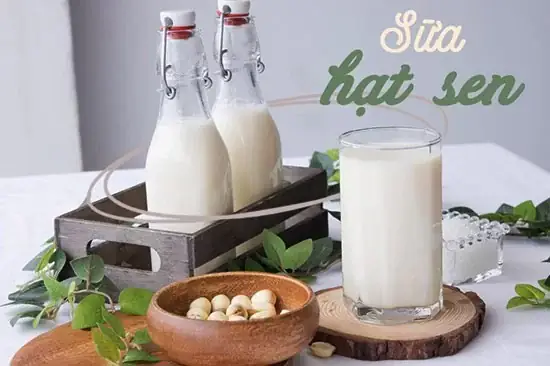 Cách Làm Sữa Hạt Sen Khô Cho Bé
