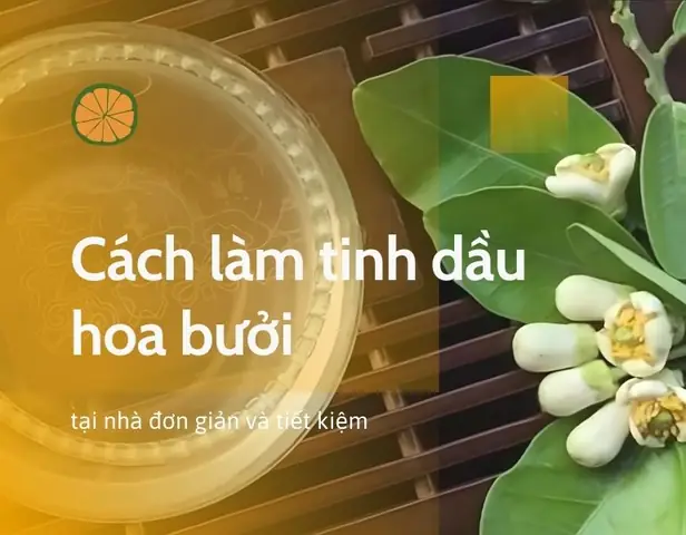 Cách Làm Tinh Dầu Hoa Bưởi