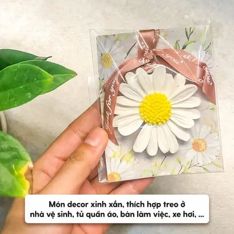 Cách Làm Tinh Dầu Hoa Cúc