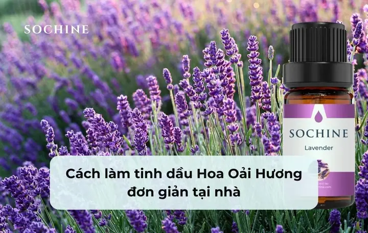 Cách Làm Tinh Dầu Hoa Nhài Tại Nhà