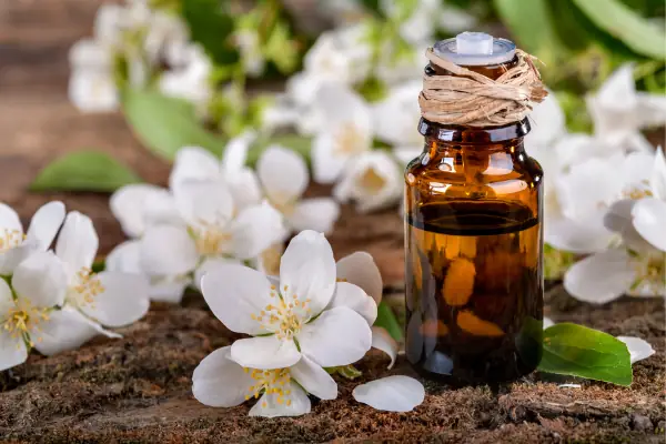 Cách Làm Tinh Dầu Hoa Nhài Tại Nhà