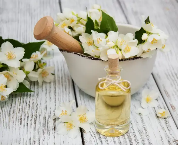 Cách Làm Tinh Dầu Hoa Nhài Tại Nhà