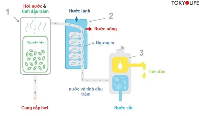 Cách Làm Tinh Dầu Thiên Nhiên
