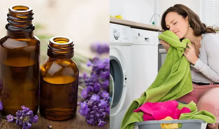 Cách Làm Tinh Dầu Thơm Quần Áo