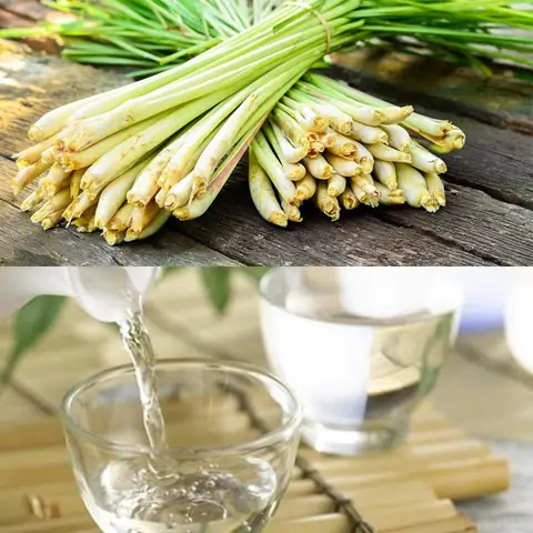 Cách Làm Tinh Dầu Tỏi Cho Bé