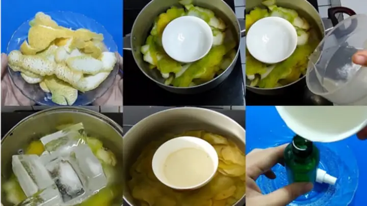 Cách Làm Tinh Dầu Vỏ Bưởi Cách Làm Tinh Dầu Vỏ Bưởi