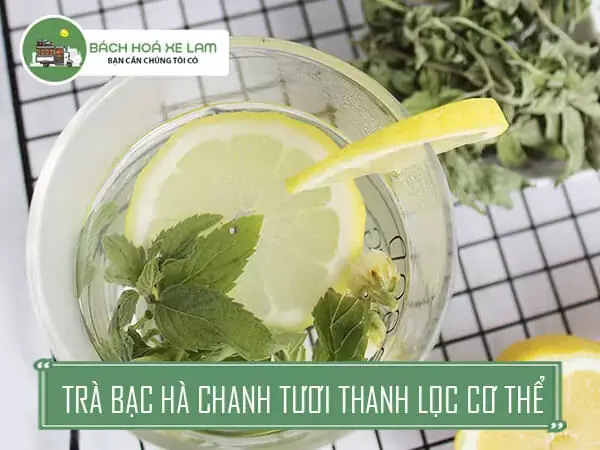 Cách Làm Trà Bạc Hà Tươi