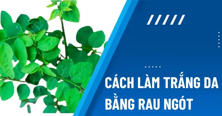 Cách Làm Trắng Da Bằng Rau
