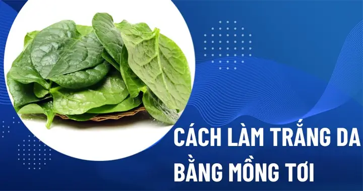 Cách Làm Trắng Da Bằng Rau