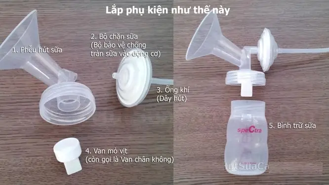 Cách Lắp Máy Hút Sữa Spectra