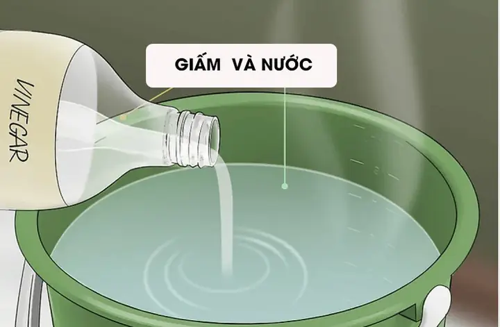 Cách Lau Nhà Thế Nào Cho Sạch