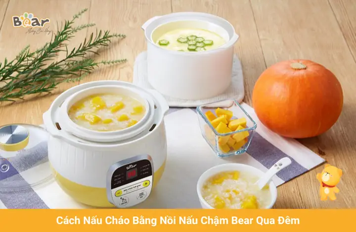 Cách Nấu Cháo Ăn Dặm Bằng Nồi Nấu Cháo Chậm