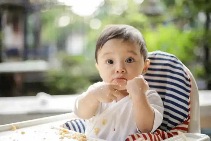 Cách Nấu Cháo Cá Chép Cho Bé 7 Tháng Tuổi