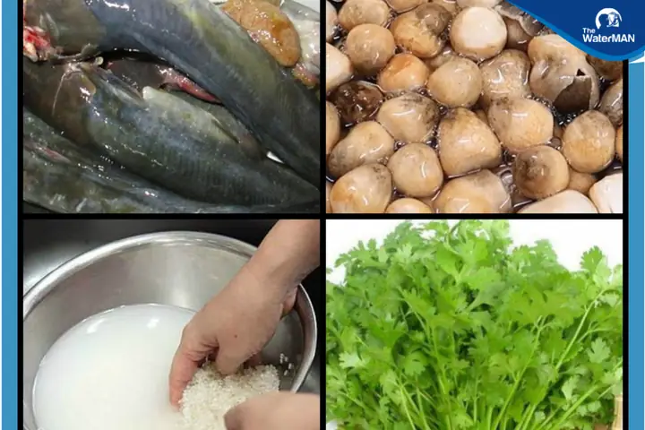 Cách Nấu Cháo Cá Trê Ngon Cách Nấu Cháo Cá Trê Ngon