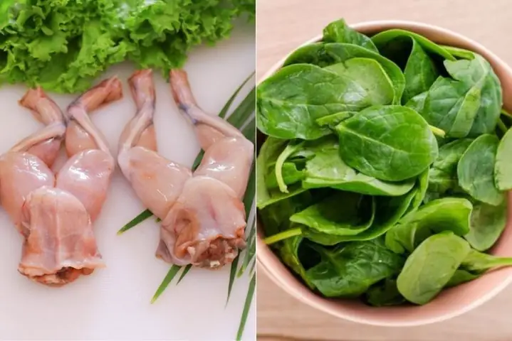 Cách Nấu Cháo Ếch Ăn Dặm Cho Bé Cách Nấu Cháo Ếch Ăn Dặm Cho Bé