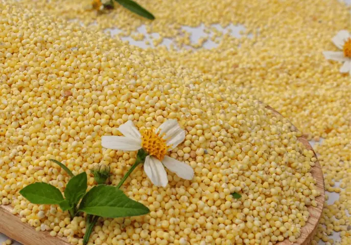 Cách Nấu Cháo Kê Cho Bé Ăn Dặm