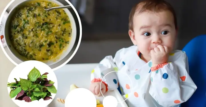 Cách Nấu Cháo Tía Tô Cho Bé