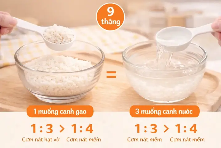 Cách Nấu Cơm Nát Cho Bé 9 Tháng Cách Nấu Cơm Nát Cho Bé 9 Tháng
