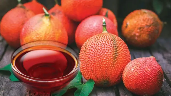 Cách Nấu Dầu Gấc Như Thế Nào Cách Nấu Dầu Gấc Như Thế Nào