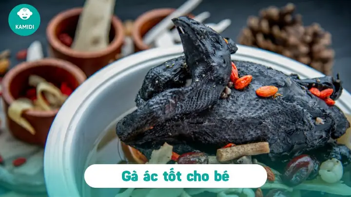 Cách Nấu Gà Ác Cho Bé