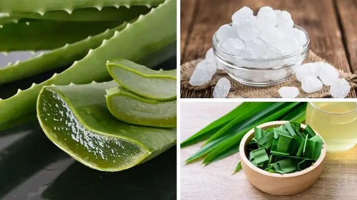 Cách Nấu Nước Nha Đam La Dứa