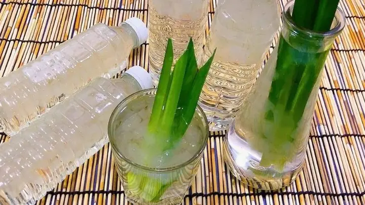 Cách Nấu Nước Nha Đam Uống
