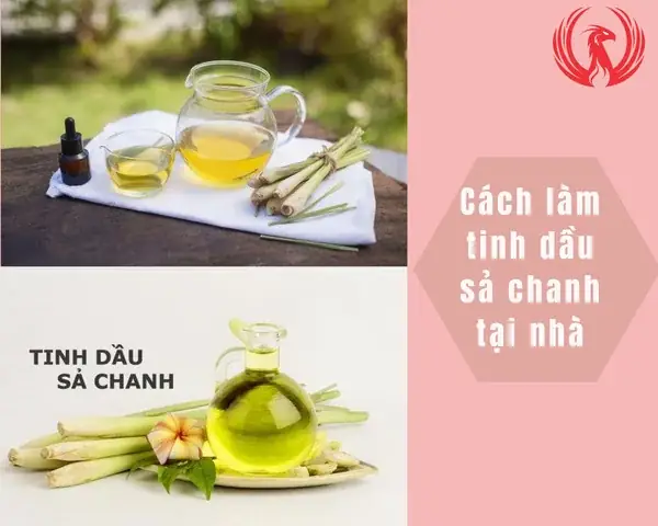 Cách Nấu Tinh Dầu Sả Chanh