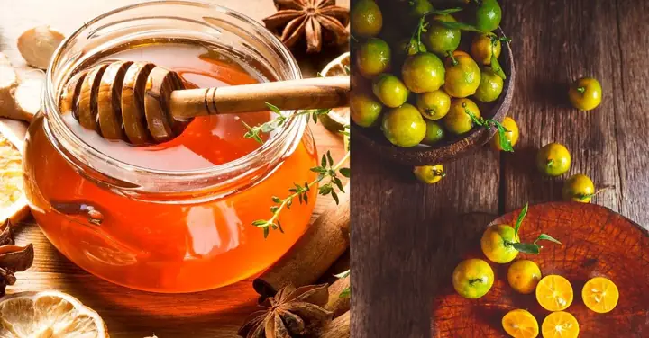 Cách Ngâm Tắc Mật Ong Trị Ho Cách Ngâm Tắc Mật Ong Trị Ho