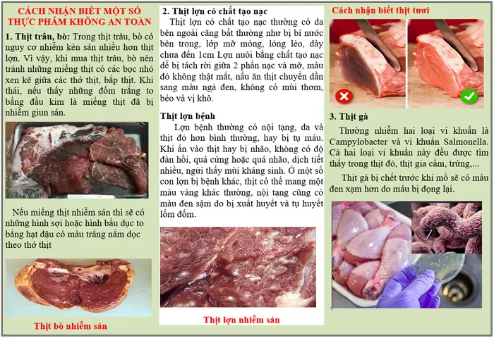 Cách Nhận Biết Các Con Vật