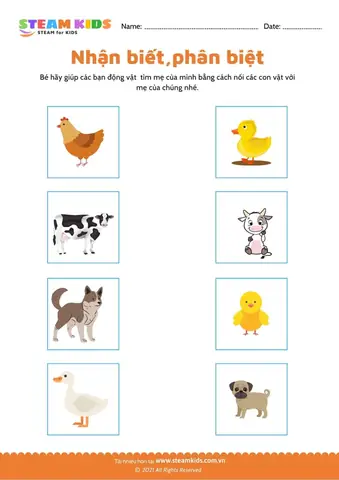 Cách Nhận Biết Các Con Vật